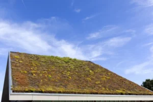 Green Roofing