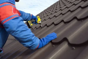 Metal Roofing